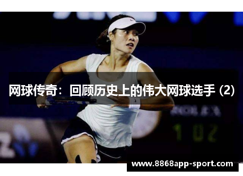 网球传奇：回顾历史上的伟大网球选手 (2)
